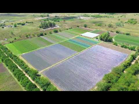 VENTA FRACCION 59 HECTAREAS ZONIFICACION CR1 PILAR