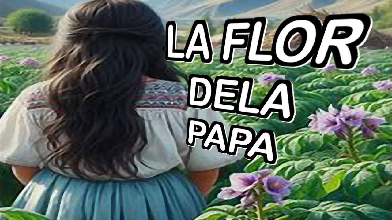 LA FLOR DE LA PAPA cuento andino