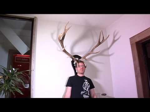 Mission Blutwurz Reit im Winkl Outtake3 - Vogelmayer bekommt Hörner aufgesetzt