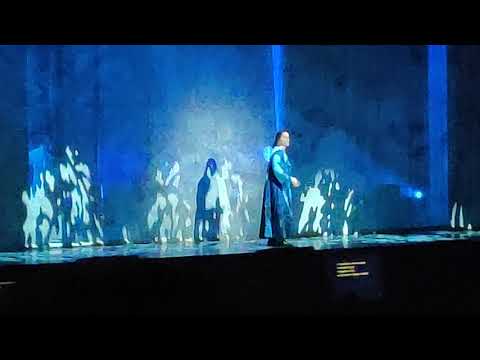 NDDP2019 Les portes de Paris SPb Ледовый 25.10.2019