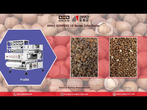 AMD® P-LGS4 AI Intelligence Tree Nuts Optical Color Sorter for Cracked Hazelnut Shell/Kernel Sorting