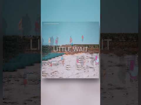 George Ergemlidze - Little Wait (Vertical)