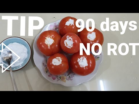 , title : 'Cách bảo quản cà chua tự nhiên, tươi đến 90 ngày ( tip of storing tomato , fresh until 90 days)'