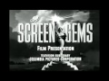 A Screen Gems Films Presentation Sony Pictures Television 2014