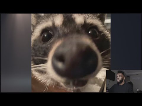 SMUG READING WEIRD MESSAGES!!!