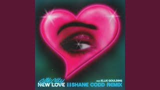 New Love (Shane Codd Remix) song artwork