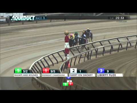 Sweet on Smokey - 2016 Videogenic Stakes