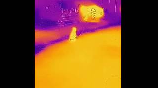 Venturing out in the night