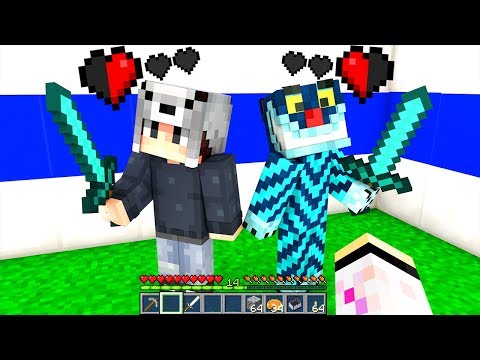 SE PRENDIAMO DANNO FINISCE IL VIDEO DI MINECRAFT!!