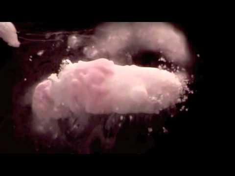 The Bambi Molesters - Sundowner