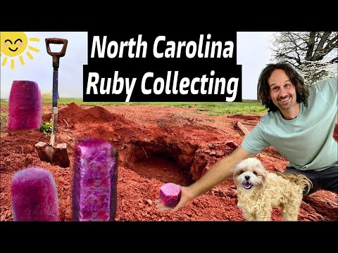 Ruby & Sapphire Discovery in a North Carolina BACKYARD 🤯