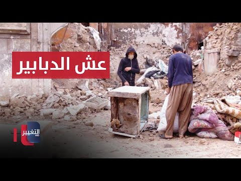 شاهد بالفيديو.. شباب عراقيون يتسللون لـ"عش الدبابير" لاسباب غريبة !