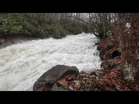 Kayaking Looking Glass Creek For the First Time