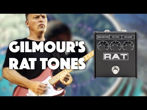 David Gilmour’s Rat Tones (…and More!)
