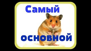 Смотреть.Смешные видео. Приколы с животными. 28