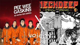Download lagu Sebuah Rahasia X Wish You Were Here [voidity Mashup] mp3
