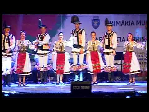 Ansamblul Artistic Muresul la Festivalul de Carte si Muzica - Piata Sfatului, Brasov 2015 Pt.1