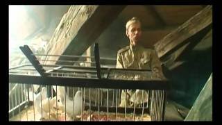 preview picture of video 'Moskva - Berlin. Film. Pigeons. Голуби'