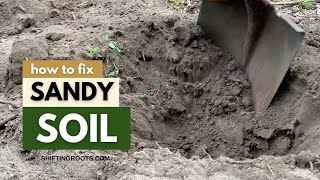 How to Fix Sandy Soil--with Gardening in Canada