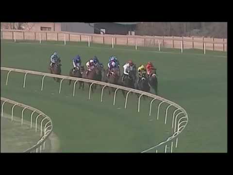 2017.05.06 Gerald Rosenberg Stakes (RSA) - Polyphonic