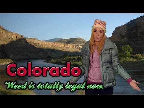 What is BudTrakr?
