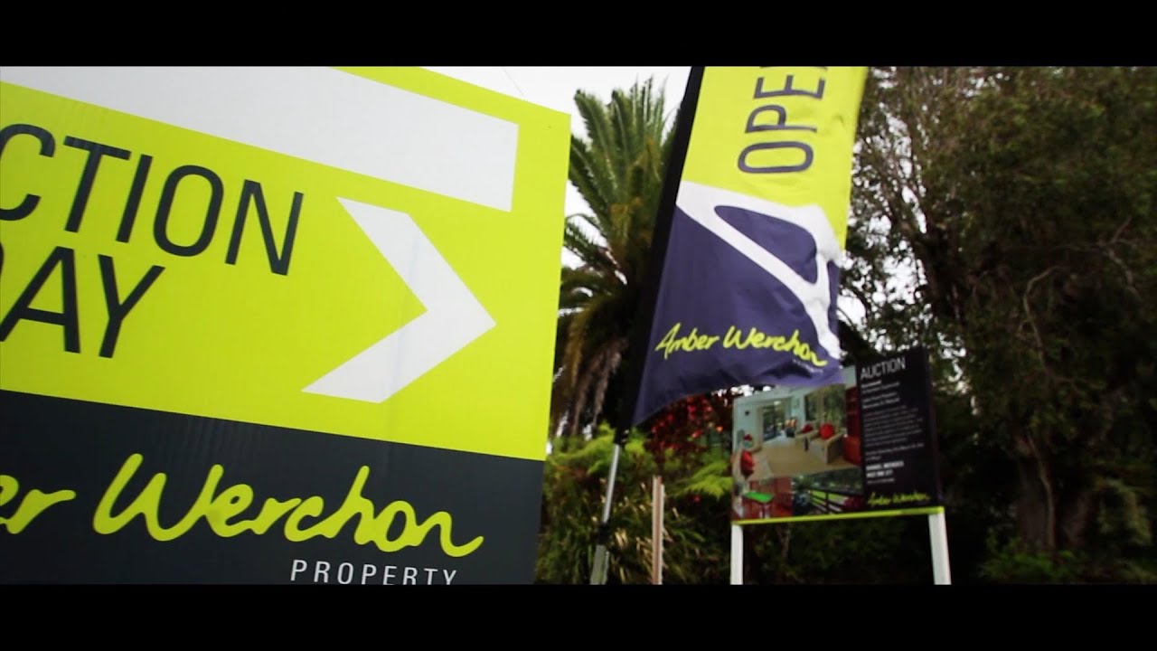 Amber Werchon auction promo