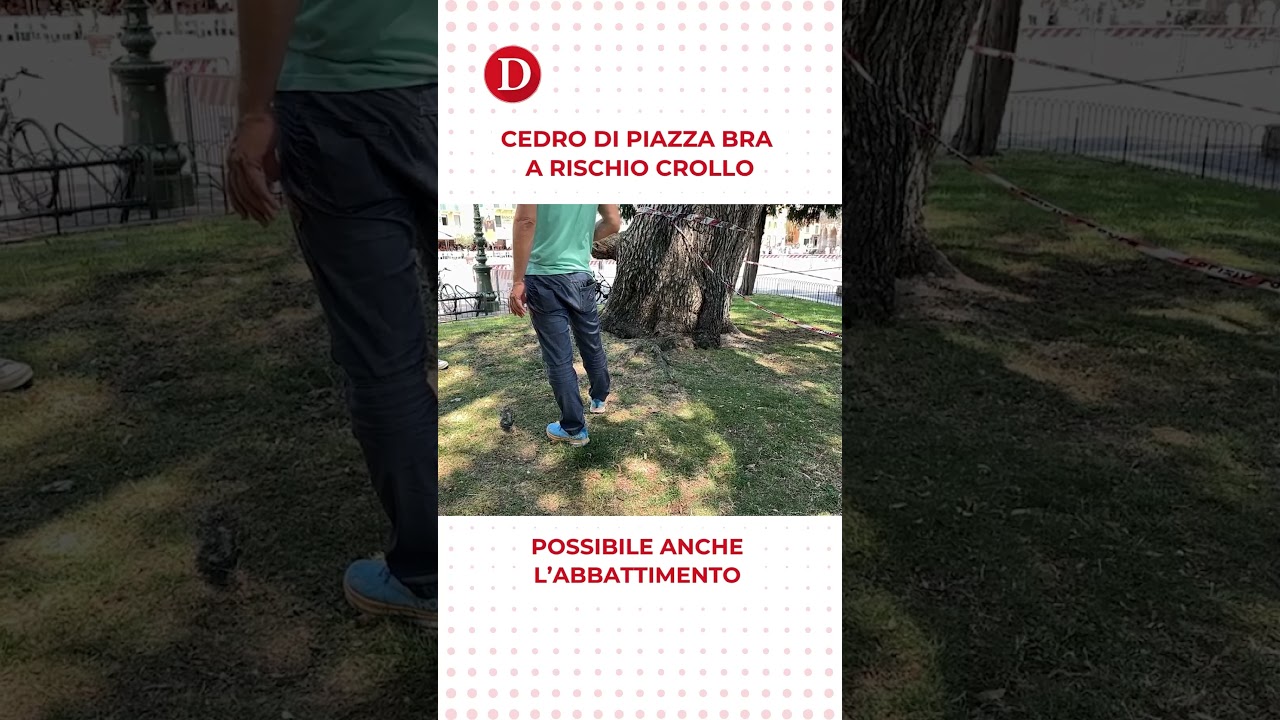 Descrizione dell'immagine