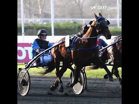 SULKY LEGENDS - Björn GOOP - Prix de France 2015 (Timoko)