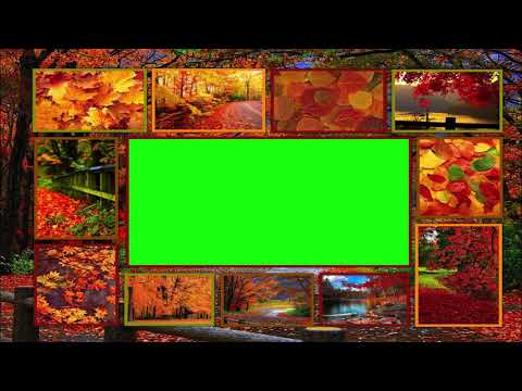 Autumn Fall Green Screen