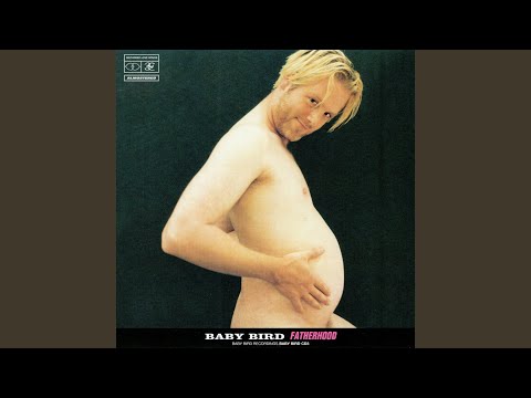 Aluminium Beach - Babybird