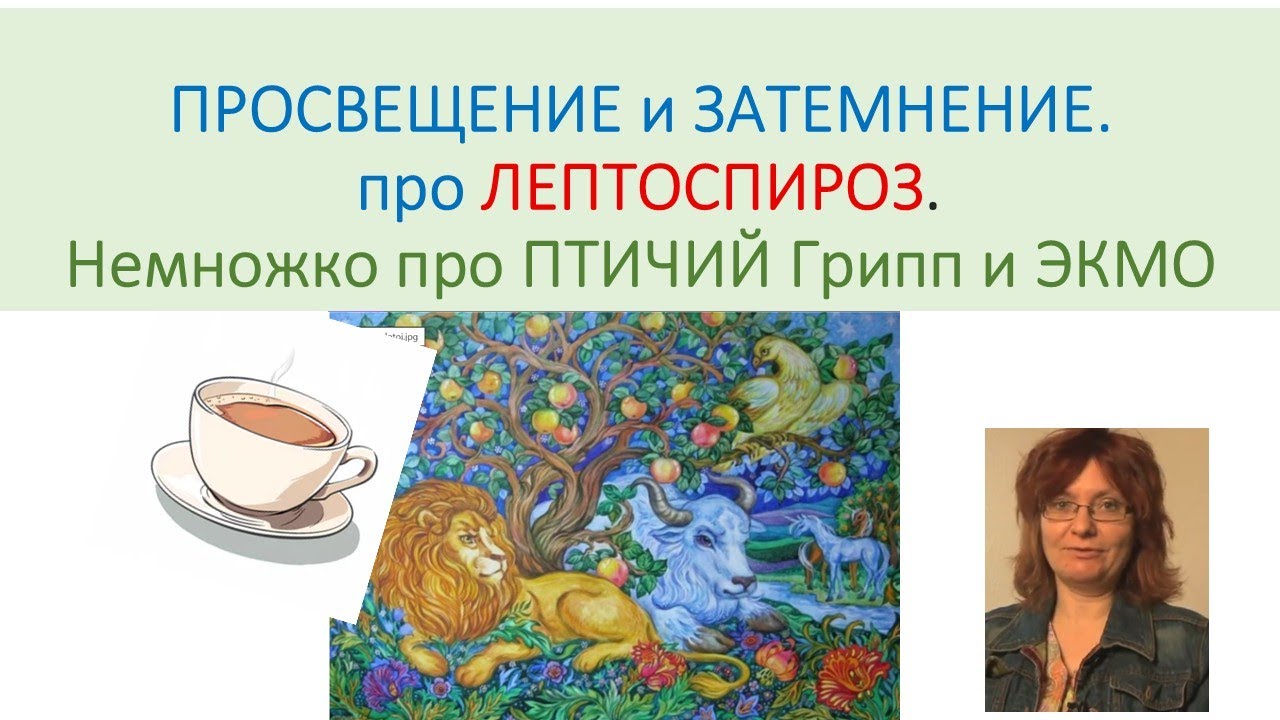 Лептоспироз. Затемнение вместо Просвещения.