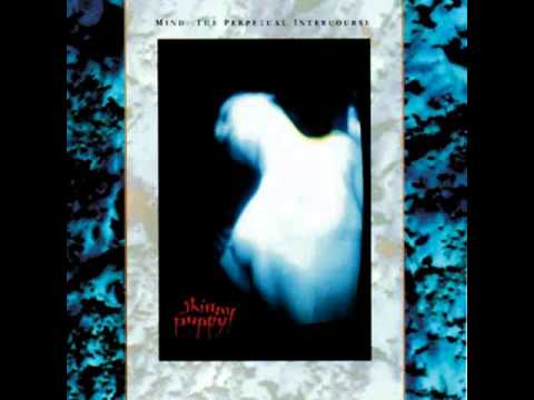 Skinny Puppy - DIG IT :raw edit: