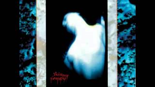 Skinny Puppy - DIG IT :raw edit: