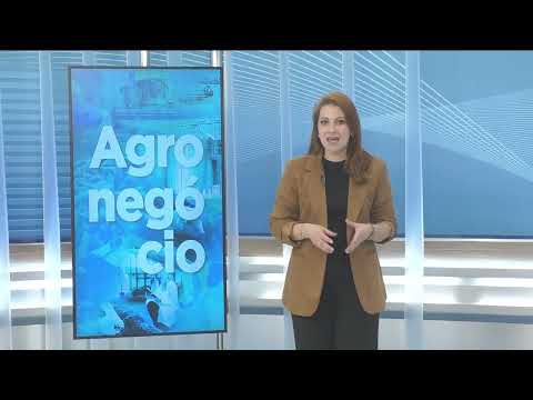 CNT Notícias BA de 26/08/2026 na Íntegra