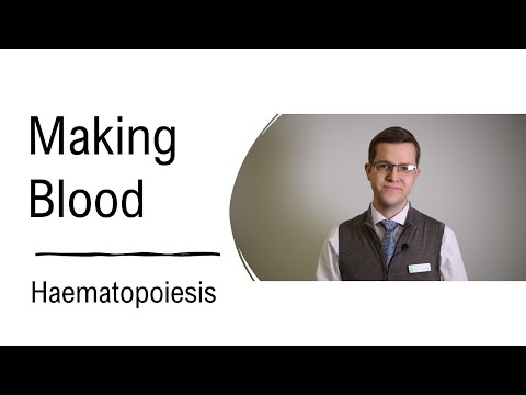 Making Blood: Haematopoiesis