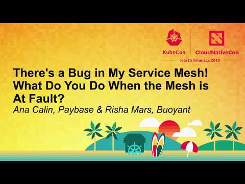 There's a Bug in My Service Mesh! What Do You Do When the Mesh is At Fault? - Ana Calin & Risha Mars