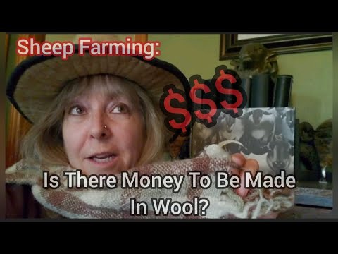 Sheep Farming: Is There Money To Be Made In Wool?|March 2022