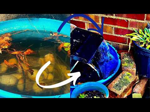 Upgrading my Pond with a BRAND NEW Waterfall Feature