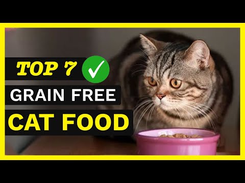 Best Grain Free Cat Food - Top 7 Best Grain-Free Cat Foods 2022 ✅🐱