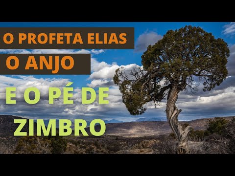 DEUS ENVIA UM ANJO PARA CUIDAR DE ELIAS DEBAIXO DO PÉ DE ZIMBRO - (pregação) Pastor Sidnei Luiz