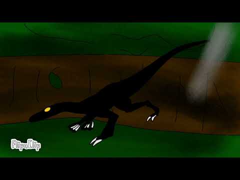 night feeder vs future predator