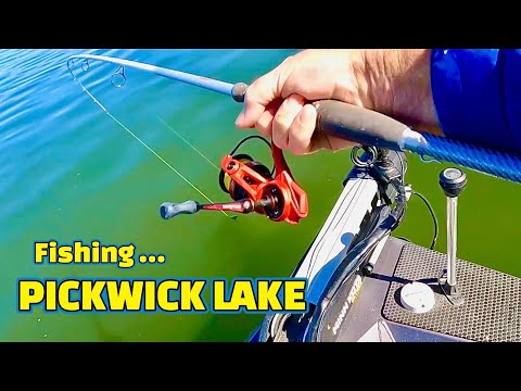 The TRUTH about fishing PICKWICK LAKE !!