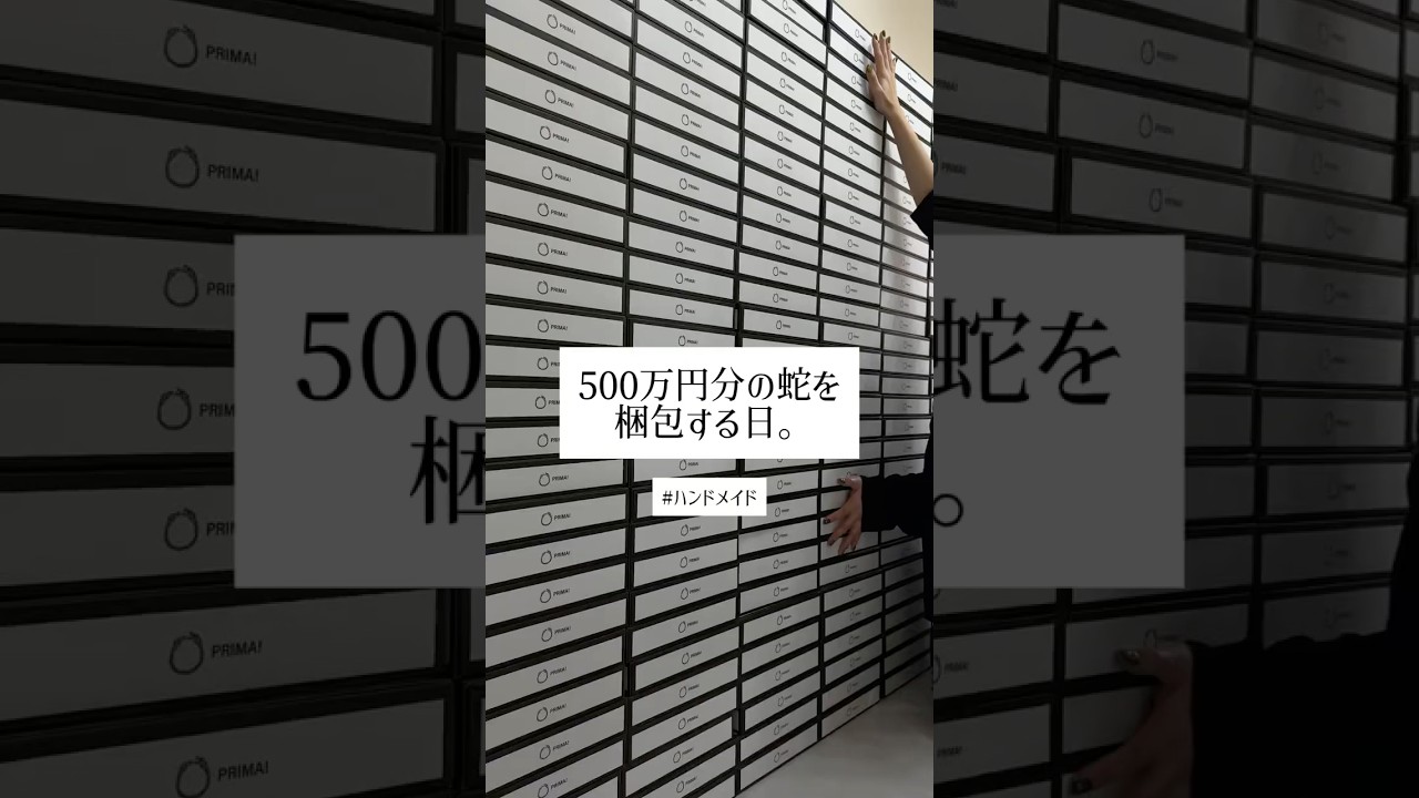 500万円分の蛇を梱包する日。 #ハンドメイド #ビーズ #梱包動画
