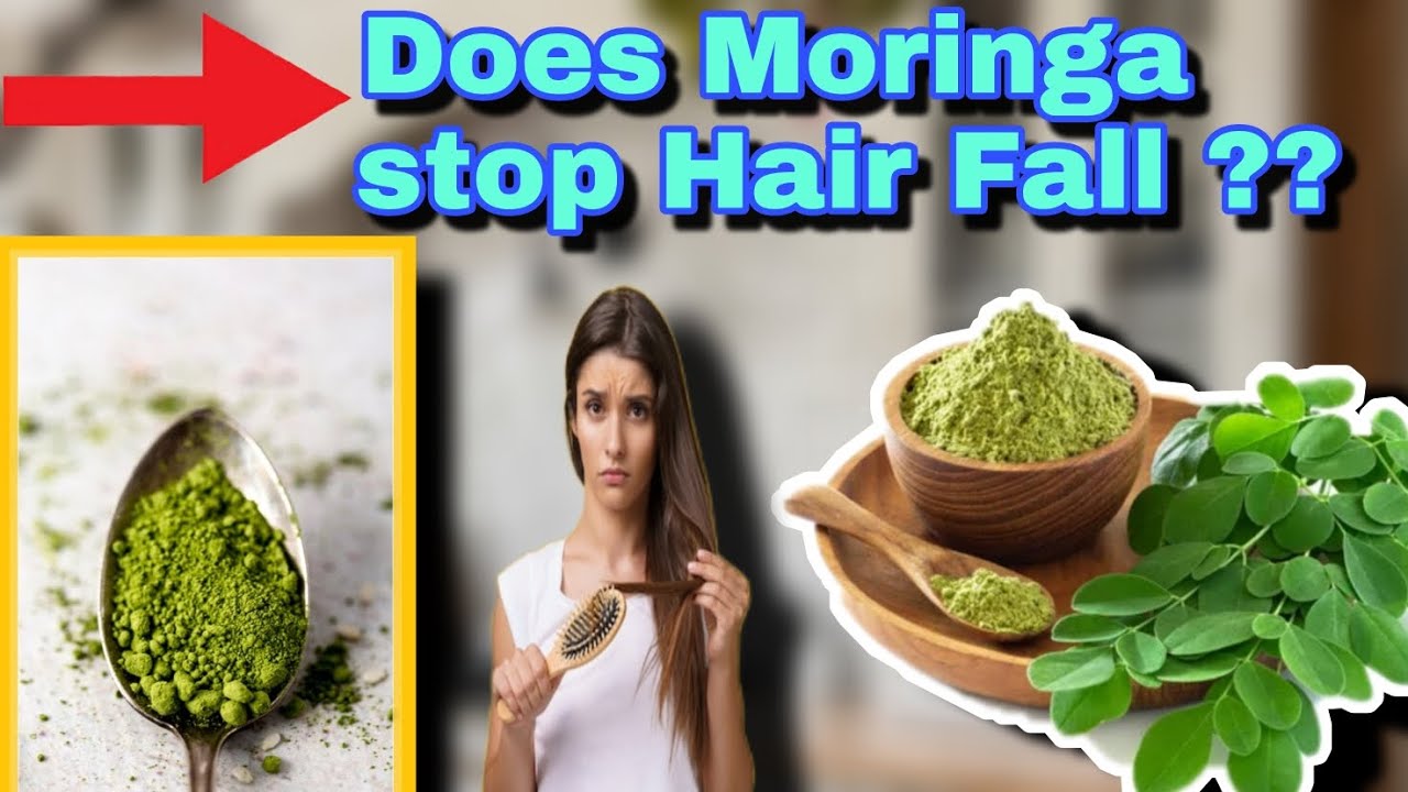 Full data about Moringa leaves powder 2024 || Can Moringa aid in Hair Loss ?? thumbnail