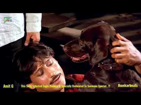 Teri Meherbaniyan - Title Song - ( Jhankar_Remix ) - 1985 Songs HD| Jaykie Shorrf, By Deewana Amit G