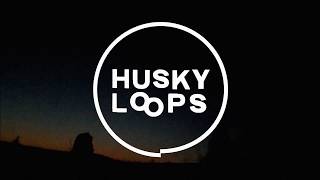 Husky Loops – The Man (Official Video)