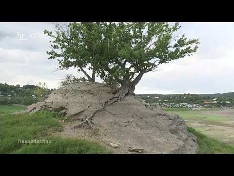 Edersee 2019: Die Liebesinsel im Edersee