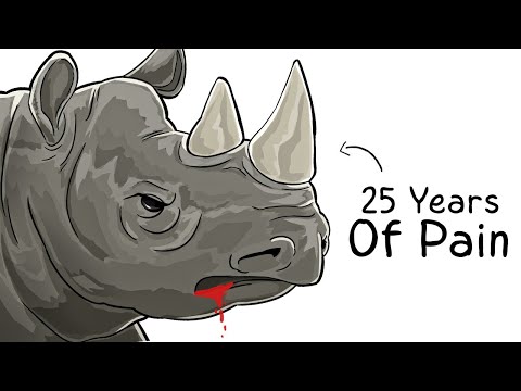 Why it Sucks To Be Born As a White Rhinoceros