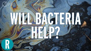 Is Bacteria the Future of Oil Spill and Radioactive Waste Cleanup?