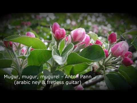 Mugur, mugur, mugurel - Anton Pann (arabic ney & fretless guitar)